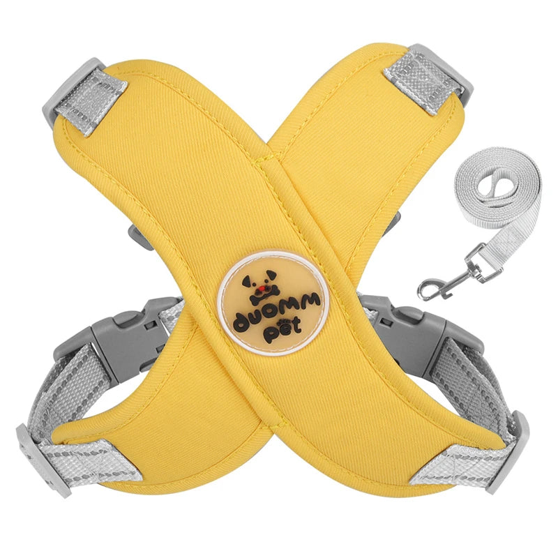Dog Harness & Leash Set
