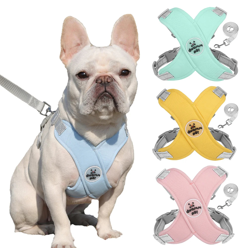 Dog Harness & Leash Set