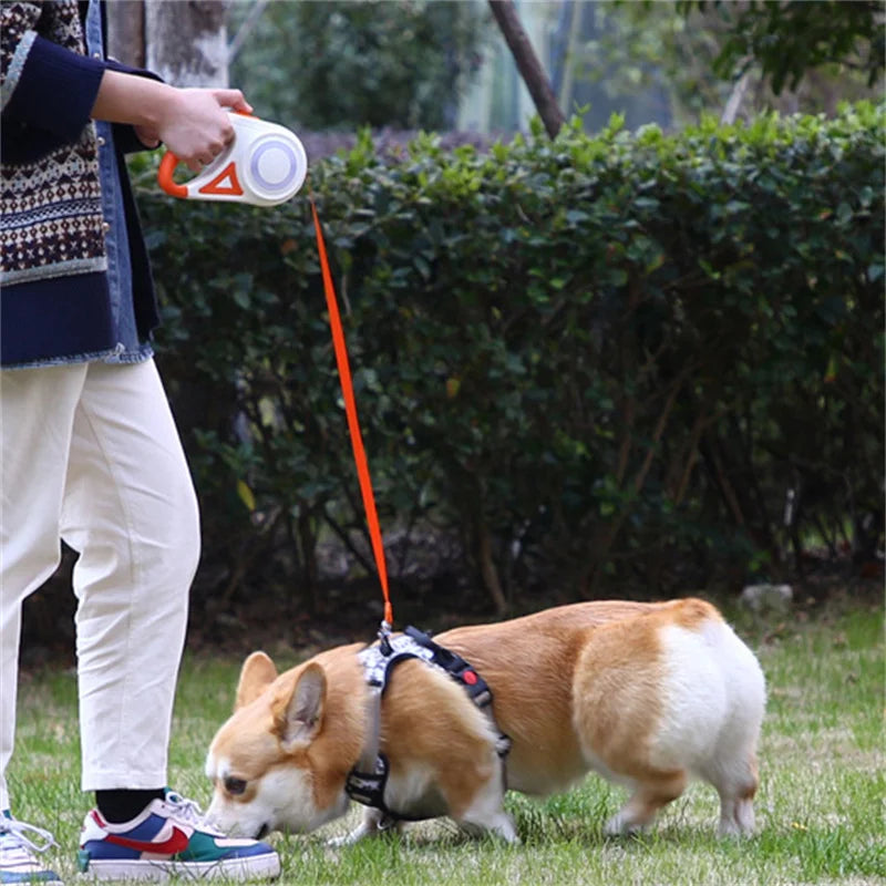 5M Automatic Led Flashlight Dog Leash