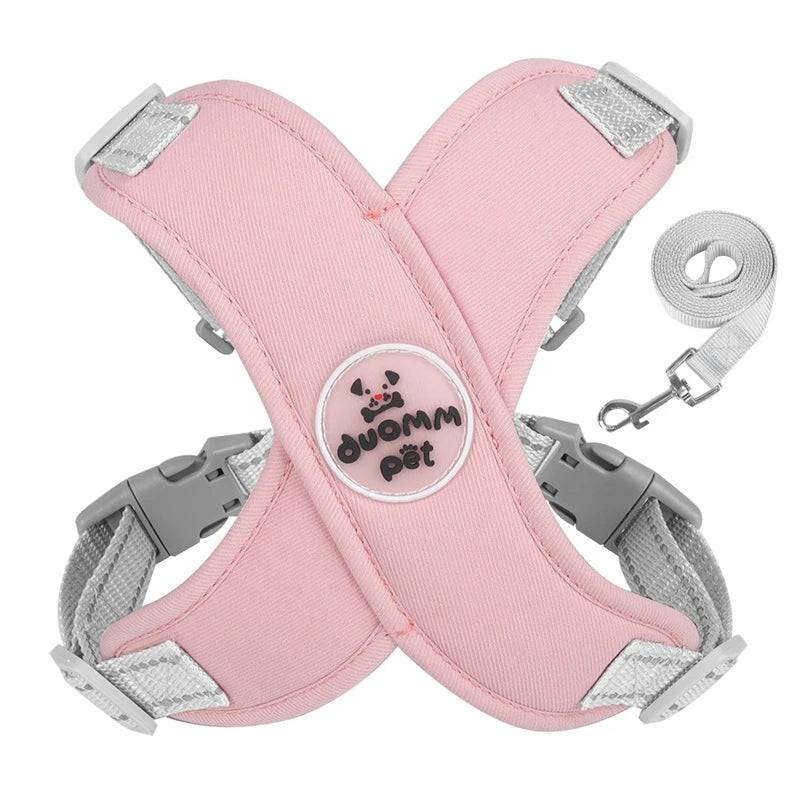 Dog Harness & Leash Set