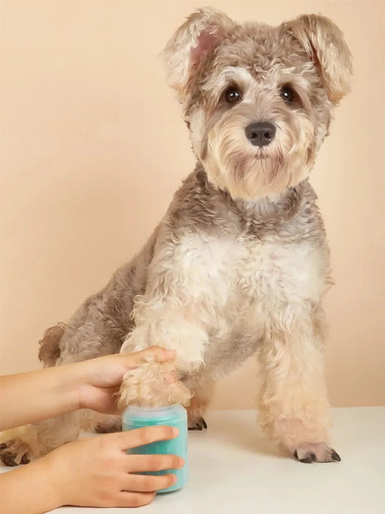 Pet Paw Cleaner