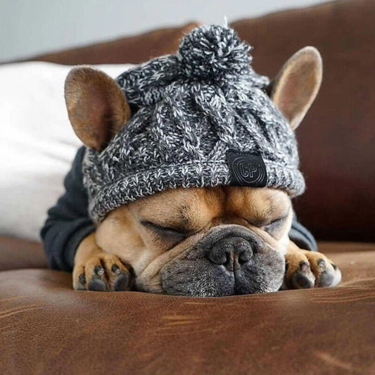 Winter Warm Dog Hat