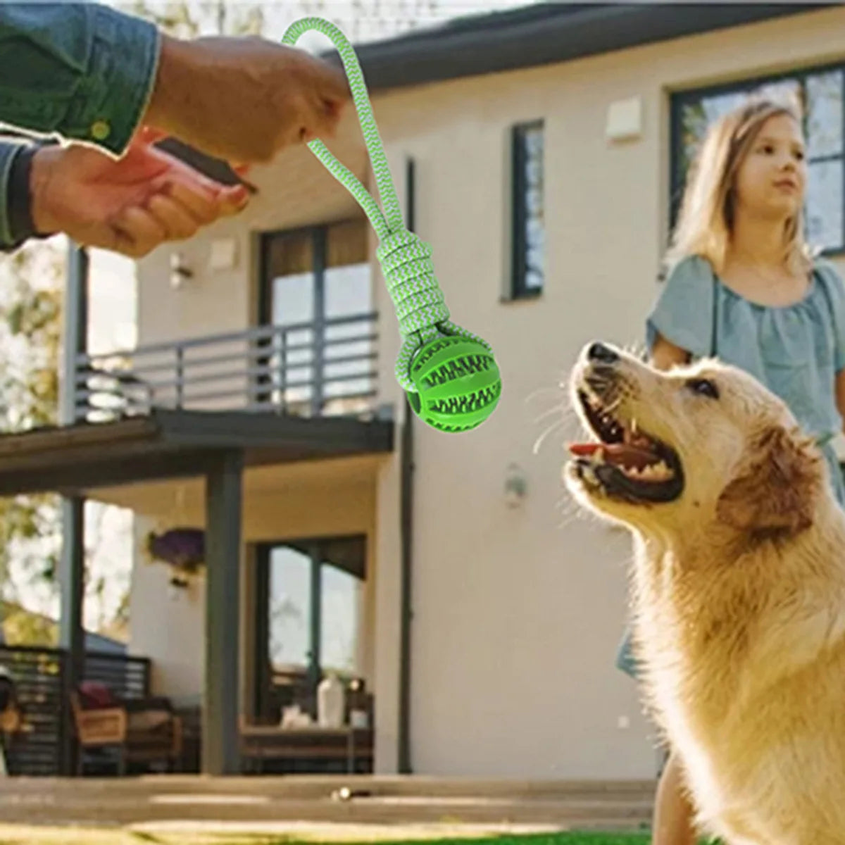 Dog Ball on Rope Toy