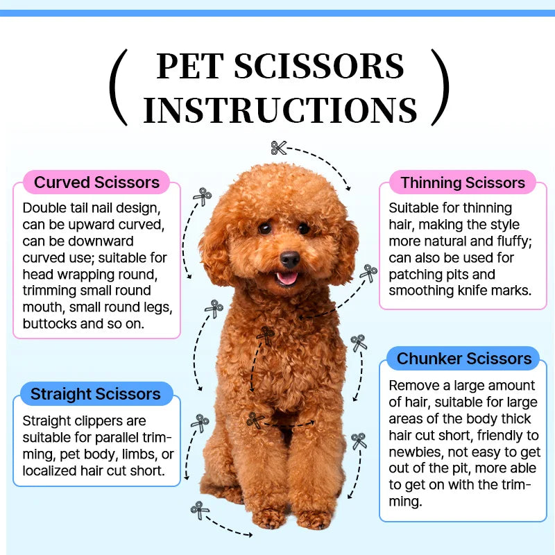 Professional Pet Grooming Kit