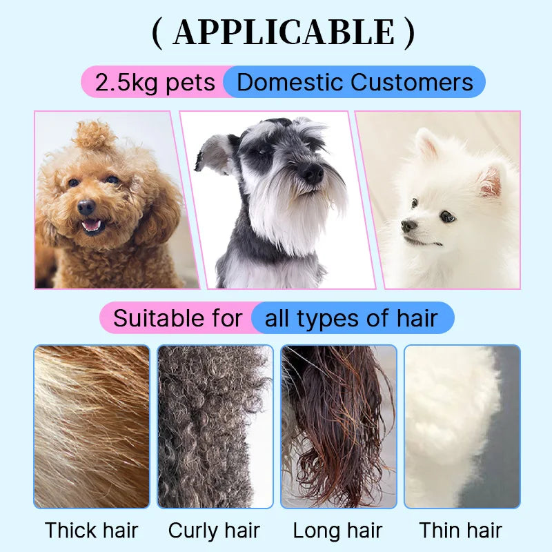 Professional Pet Grooming Kit